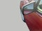 2009 Ford Focus SE